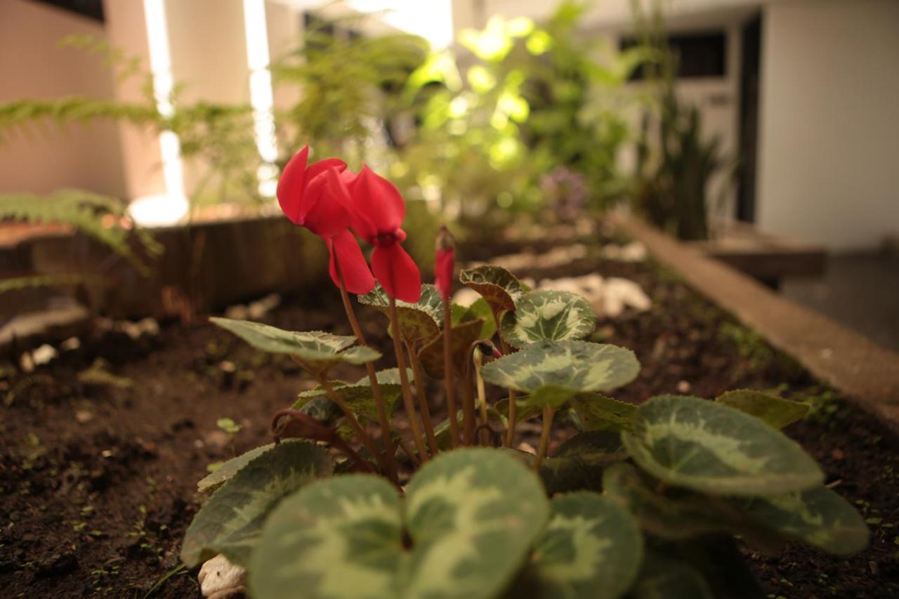 Hotel Natural Medellín Kültér fotó